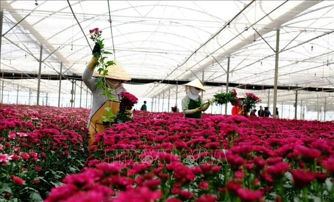 Đưa quan hệ Đối tác Chiến lược toàn diện Việt Nam - Australia vươn tầm cao mới