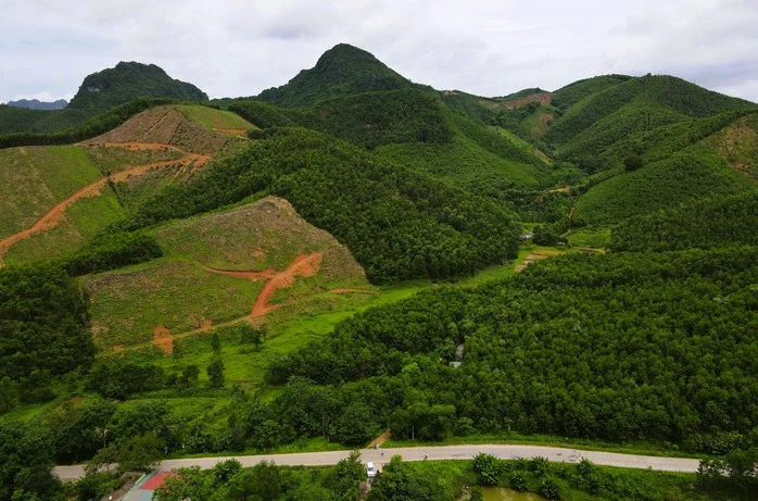 Dừng việc đưa 13 ha đất đầu nguồn nước vào đấu giá mỏ đất ở Thanh Hóa Dừng việc đưa 13 ha đất đầu nguồn nước vào đấu giá mỏ đất ở Thanh Hóa