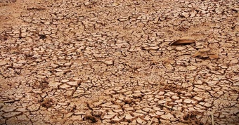 El Nino có Khả năng mạnh vào cuối năm 2026 và kéo dài sang 2027 , nguy cơ thiếu nước