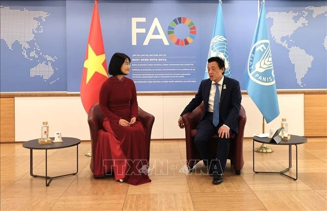 FAO luôn coi trọng Việt Nam là đối tác quan trọng trong khu vực FAO luôn coi trọng Việt Nam là đối tác quan trọng trong khu vực