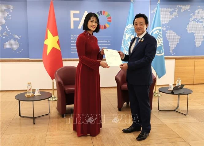 FAO luôn coi trọng Việt Nam là đối tác quan trọng trong khu vực FAO luôn coi trọng Việt Nam là đối tác quan trọng trong khu vực