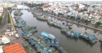 Gần 1.000 tàu cá ở Lâm Đồng vẫn ra khơi dù chưa đủ điều kiện