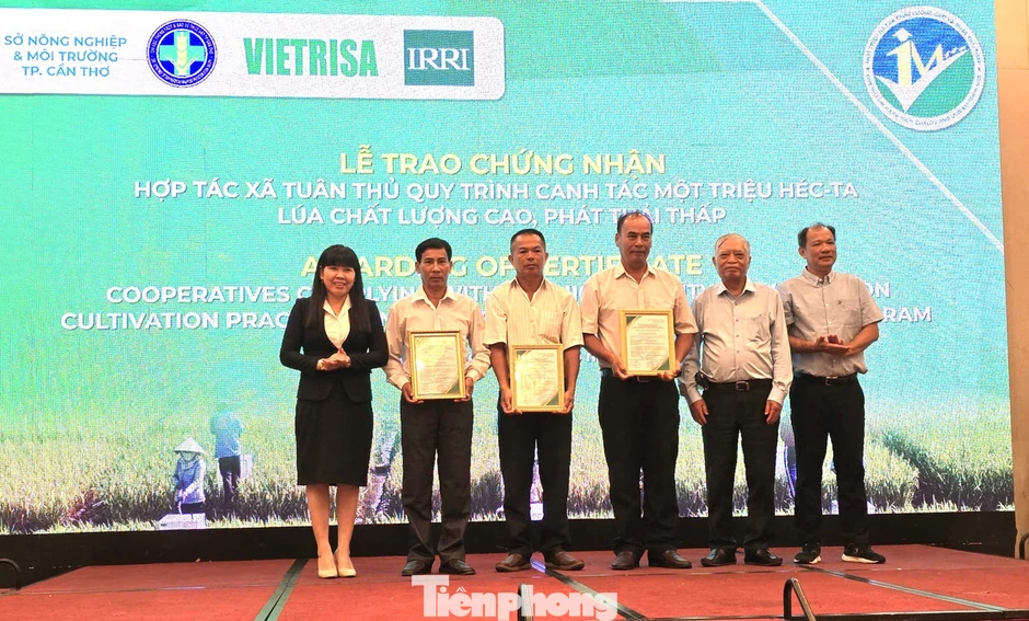 Gạo phát thải thấp: Tuyệt đối tránh 'con sâu làm rầu nồi canh' Gạo phát thải thấp: Tuyệt đối tránh 'con sâu làm rầu nồi canh'