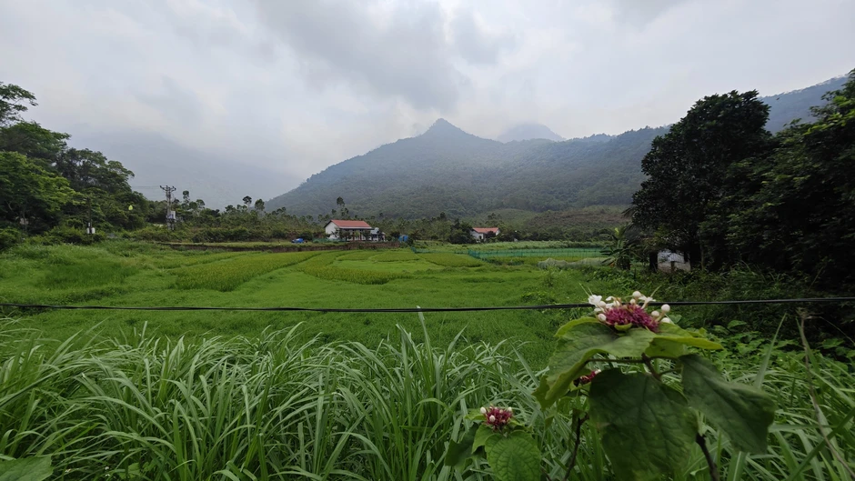 Gặp nam sinh vừa trở về sau khi lạc 37 tiếng giữa rừng núi Tam Đảo: Bám theo dòng nước, ngủ trên vách đá Gặp nam sinh vừa trở về sau khi lạc 37 tiếng giữa rừng núi Tam Đảo: Bám theo dòng nước, ngủ trên vách đá