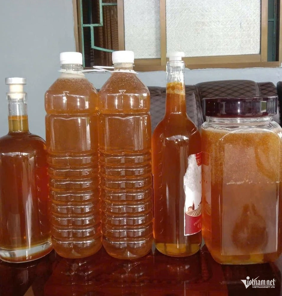 Giá mật ong giảm hơn một nửa sau 10 năm, người dân vùng cao Quảng Trị lao đao Giá mật ong giảm hơn một nửa sau 10 năm, người dân vùng cao Quảng Trị lao đao