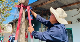 Giải cứu hơn 170 cây hoa ban bị cùm sắt siết chặt suốt nhiều năm