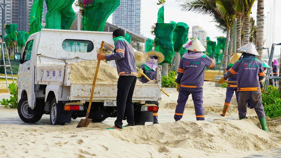 Giải pháp xử lý tình trạng cát bay tại công viên Bãi Sau Vũng Tàu năm 2026 Giải pháp xử lý tình trạng cát bay tại công viên Bãi Sau Vũng Tàu năm 2026