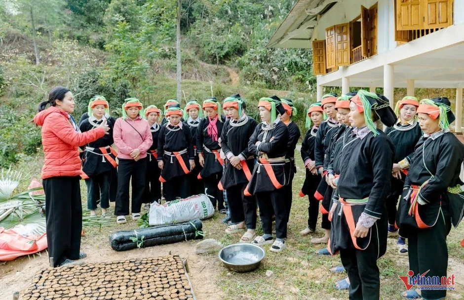 Giảm nghèo tiến xa, ‘lõi nghèo’ vẫn chưa dịch chuyển Giảm nghèo tiến xa, ‘lõi nghèo’ vẫn chưa dịch chuyển