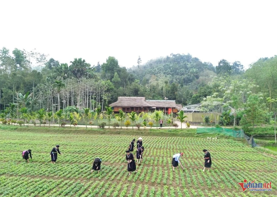 Giảm nghèo tiến xa, ‘lõi nghèo’ vẫn chưa dịch chuyển Giảm nghèo tiến xa, ‘lõi nghèo’ vẫn chưa dịch chuyển