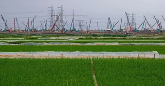 Hà Nội: Một sào ruộng "dính" 2 dự án, tiền đền bù vênh nhau 55 triệu đồng