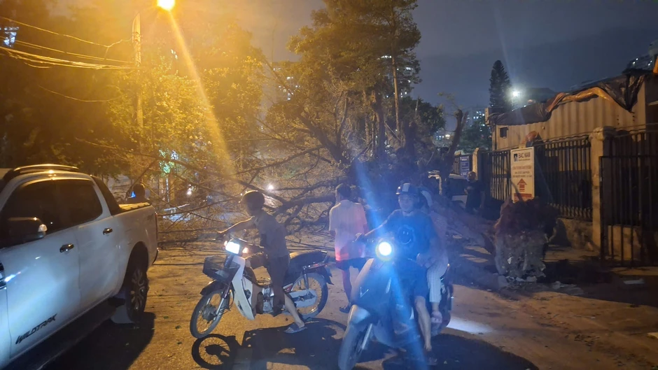 Hà Nội: Sau nắng nóng kỷ lục, mưa to gió lớn giật tung cây xanh, ôtô bị đè bẹp giữa phố Hà Nội: Sau nắng nóng kỷ lục, mưa to gió lớn giật tung cây xanh, ôtô bị đè bẹp giữa phố