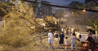 Hà Nội: Sau nắng nóng kỷ lục, mưa to gió lớn giật tung cây xanh, ôtô bị đè bẹp giữa phố