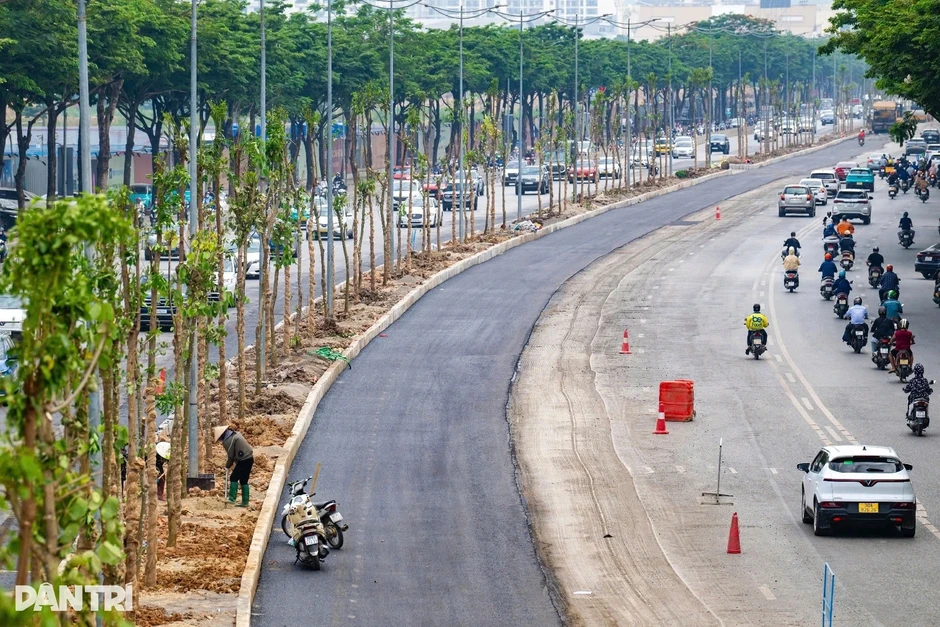 Hà Nội: Thay thế hàng cây Chiêu Liêu trên đường Võ Chí Công Hà Nội: Thay thế hàng cây Chiêu Liêu trên đường Võ Chí Công