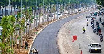Hà Nội: Thay thế hàng cây Chiêu Liêu trên đường Võ Chí Công