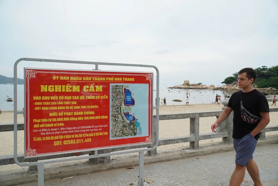 Hai du khách bẻ hơn 10 kg san hô ở biển Nha Trang Hai du khách bẻ hơn 10 kg san hô ở biển Nha Trang