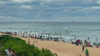 Hàng trăm người ra biển nhặt ốc hương từ hồ nuôi bị vỡ