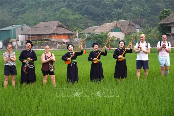 Hành động để kiến tạo, đưa văn hóa thành động lực phát triển Hành động để kiến tạo, đưa văn hóa thành động lực phát triển