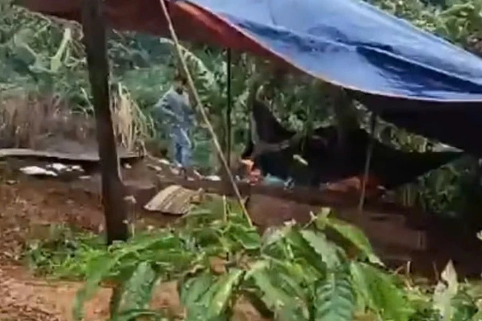 Hiệu trưởng nói gì về nghi phạm sát hại nữ nhân viên thư viện? Hiệu trưởng nói gì về nghi phạm sát hại nữ nhân viên thư viện?