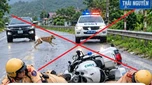 Hình ảnh 2 CSGT gặp tai nạn ở Thái Nguyên là sản phẩm của AI