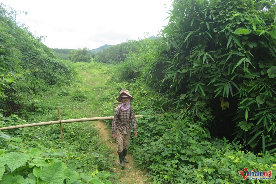 Hỗ trợ đất sản xuất cho đồng bào: Khi địa phương ‘bỏ khó, chọn dễ’ Hỗ trợ đất sản xuất cho đồng bào: Khi địa phương ‘bỏ khó, chọn dễ’