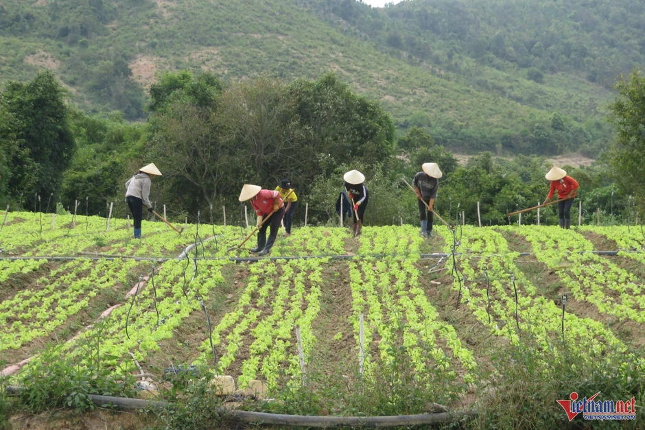 Hỗ trợ đất sản xuất cho đồng bào: Khi địa phương ‘bỏ khó, chọn dễ’ Hỗ trợ đất sản xuất cho đồng bào: Khi địa phương ‘bỏ khó, chọn dễ’