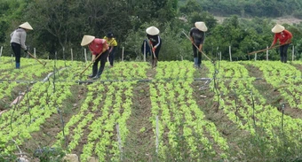 Hỗ trợ đất sản xuất cho đồng bào: Khi địa phương ‘bỏ khó, chọn dễ’