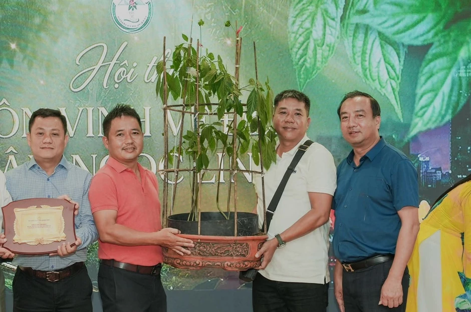 'Hoa hậu' sâm Ngọc Linh bán đấu giá hơn 700 triệu đồng