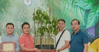 'Hoa hậu' sâm Ngọc Linh bán đấu giá hơn 700 triệu đồng