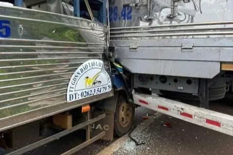 Học viên tông vào xe tải, thầy dạy lái ngồi cạnh tử vong