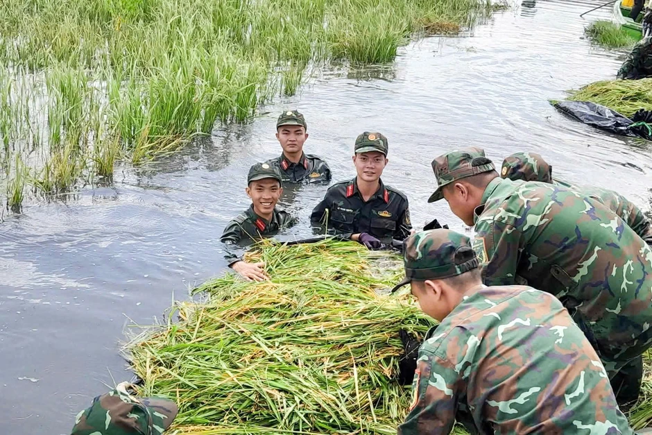 Hơn 100 cán bộ, chiến sĩ giúp người dân thu hoạch lúa “chạy lũ” ở Tây Ninh Hơn 100 cán bộ, chiến sĩ giúp người dân thu hoạch lúa “chạy lũ” ở Tây Ninh
