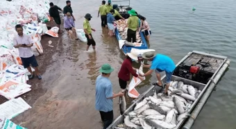 Hơn 100 tấn cá chết trên hồ Trị An​ tại Đồng Nai