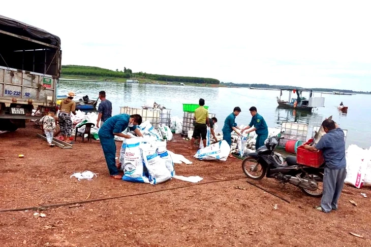 Hơn 150 tấn cá nuôi lồng bè ở hồ Trị An chết hàng loạt Hơn 150 tấn cá nuôi lồng bè ở hồ Trị An chết hàng loạt