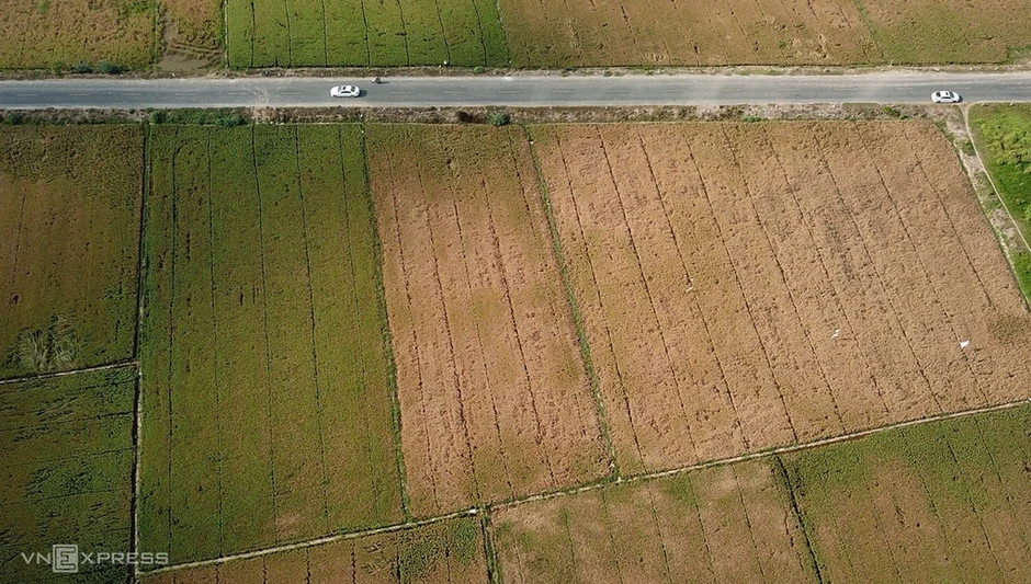Hơn 300.000 ha cây trồng nguy cơ thiếu nước do El Nino Hơn 300.000 ha cây trồng nguy cơ thiếu nước do El Nino