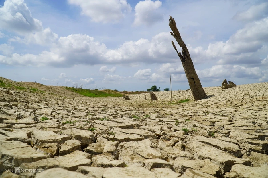 Hơn 300.000 ha cây trồng nguy cơ thiếu nước do El Nino Hơn 300.000 ha cây trồng nguy cơ thiếu nước do El Nino
