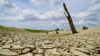 Hơn 300.000 ha cây trồng nguy cơ thiếu nước do El Nino