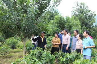 Hơn 55 tỷ đồng giúp xã vùng cao Điện Biên đổi thay