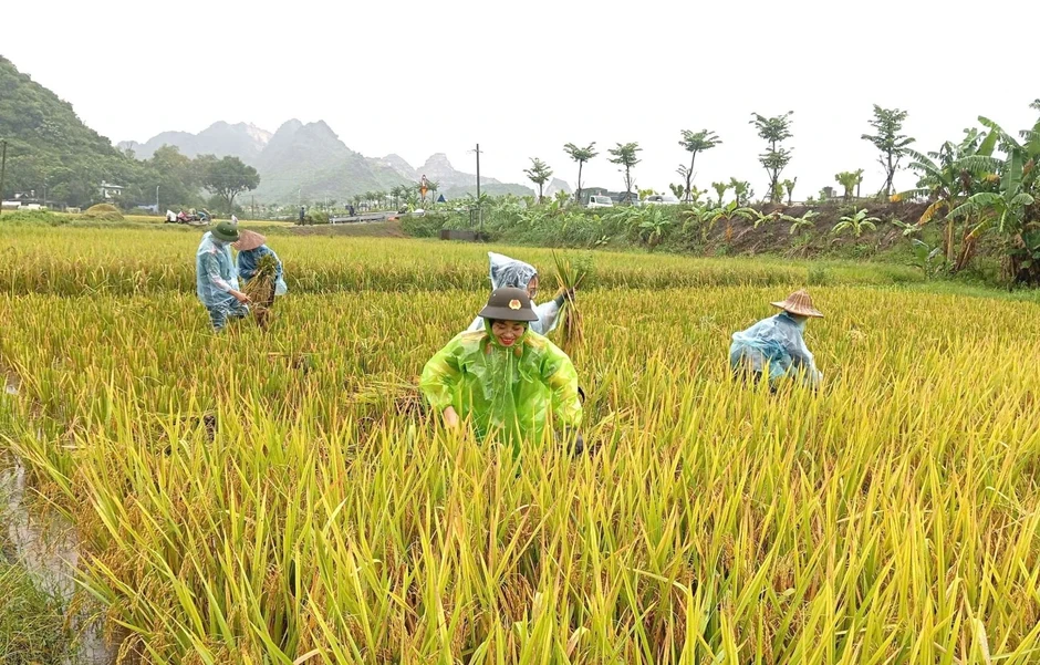 Hơn 5.800 nhà dân ở Ninh Bình ngập trong mưa lũ Hơn 5.800 nhà dân ở Ninh Bình ngập trong mưa lũ