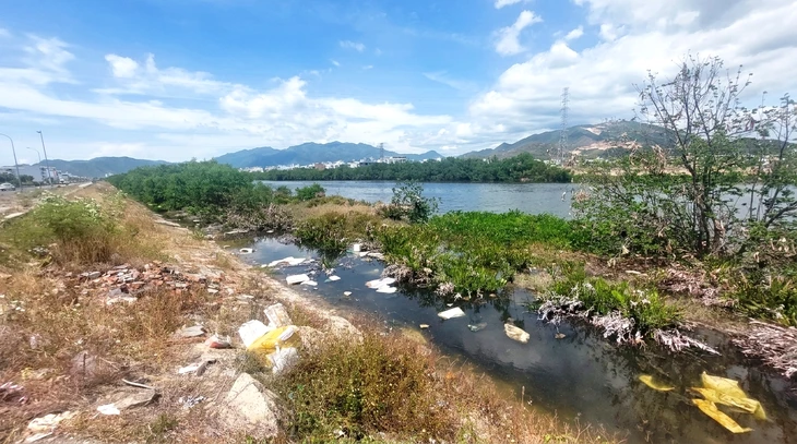 Khẩn trương chặt bỏ hàng cây mọc trái thiết kế ở dự án thoát lũ Nha Trang Khẩn trương chặt bỏ hàng cây mọc trái thiết kế ở dự án thoát lũ Nha Trang
