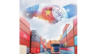 Khi cánh cửa đã mở