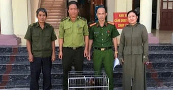 Khỉ mặt đỏ đi lạc vào vườn nhà dân ở Hải Phòng