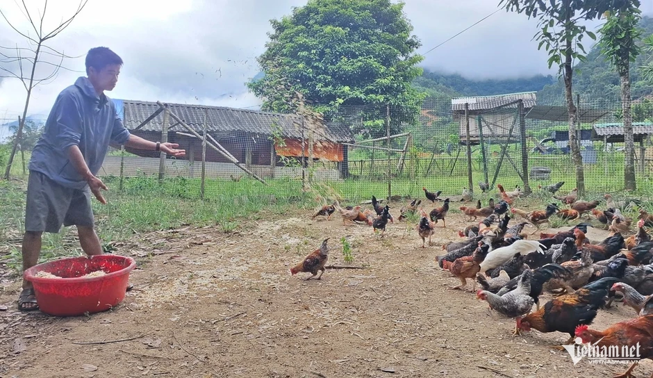 Khi người miền núi bán gà, làm du lịch bằng điện thoại thông minh