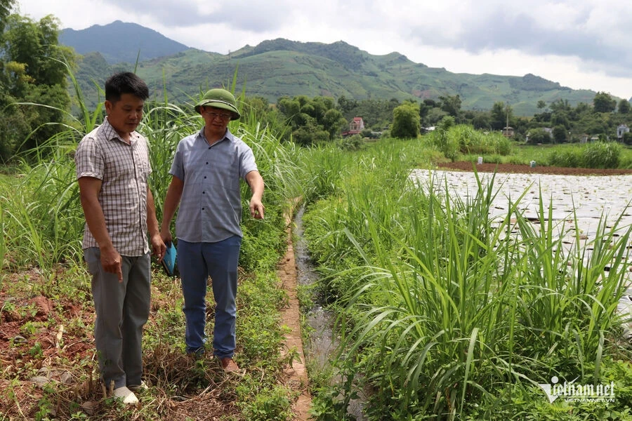 Khi nguồn vốn quốc gia chạm đến từng bản làng Sơn La Khi nguồn vốn quốc gia chạm đến từng bản làng Sơn La