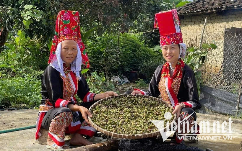 'Không ngờ cái áo mình khâu đưa lên mạng lại nhiều người thích thú' 'Không ngờ cái áo mình khâu đưa lên mạng lại nhiều người thích thú'