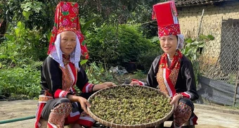 'Không ngờ cái áo mình khâu đưa lên mạng lại nhiều người thích thú'