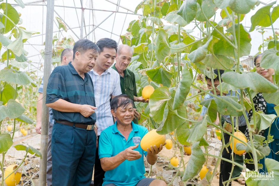 Không sợ thất bại, nông dân thu tiền tỷ từ mô hình kinh tế Không sợ thất bại, nông dân thu tiền tỷ từ mô hình kinh tế