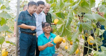 Không sợ thất bại, nông dân thu tiền tỷ từ mô hình kinh tế