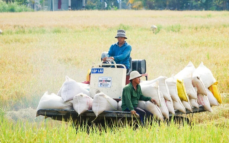 Kịch bản hạn mặn 2026 và tư duy chủ động thích ứng Kịch bản hạn mặn 2026 và tư duy chủ động thích ứng
