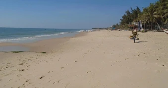 Làm rõ thông tin du khách chóng mặt sau khi ăn hải sản ở Mũi Né