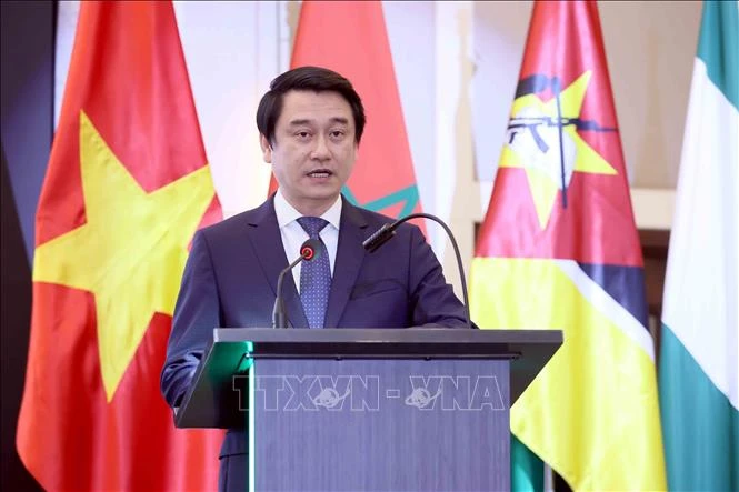 Làm sâu sắc hơn quan hệ hợp tác giữa Việt Nam với châu Phi