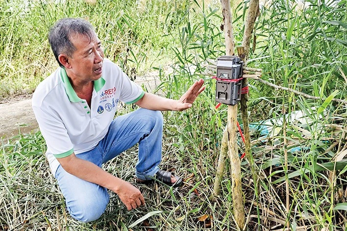 Lần theo dấu “thần rừng” giữa cánh rừng U Minh Hạ Lần theo dấu “thần rừng” giữa cánh rừng U Minh Hạ